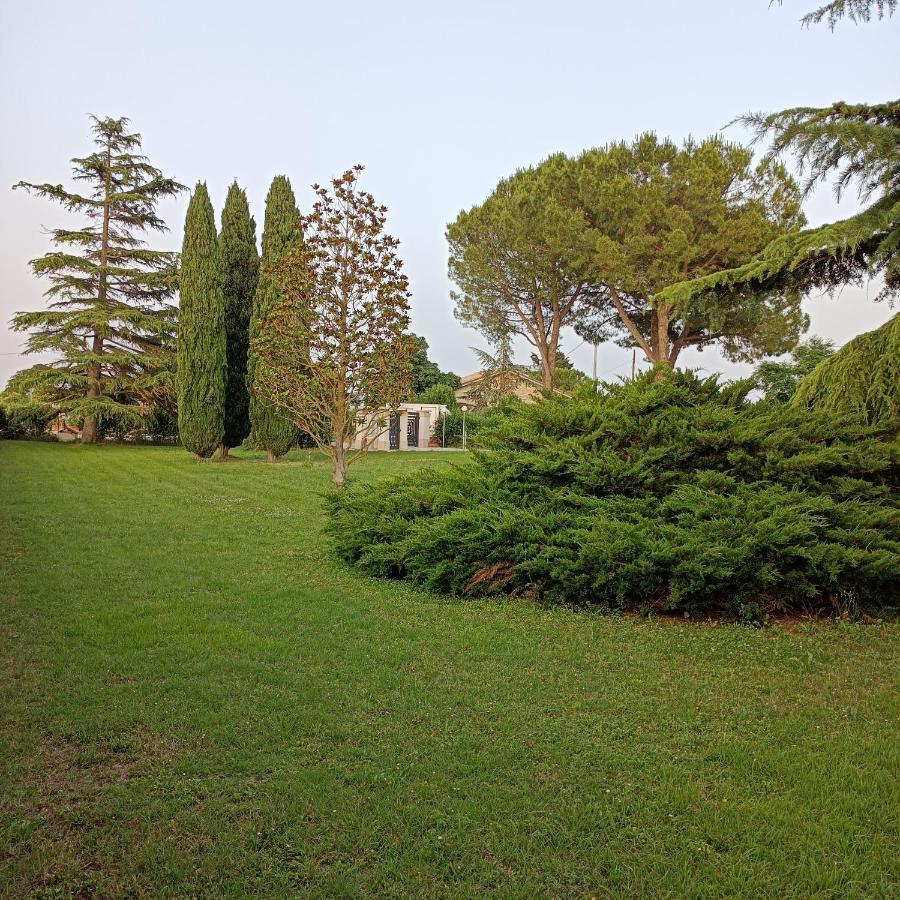 Casa Michelangelo Villa Morrovalle Exterior photo